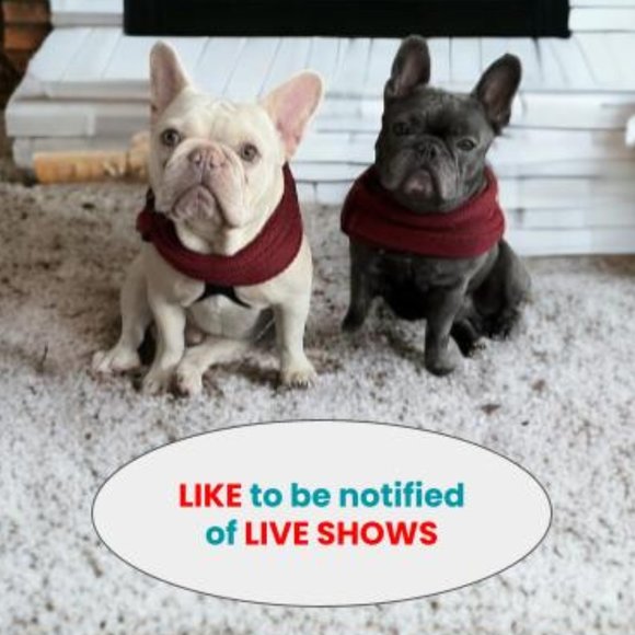 Other - LIKE to be notified of LIVE SHOWS!